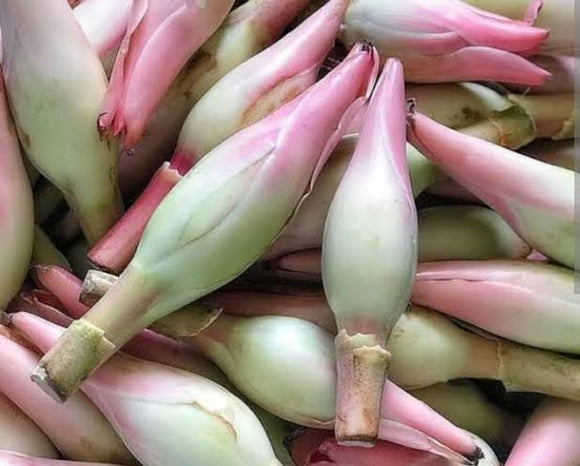 Bunga Kecombrang Segar 500 gr
