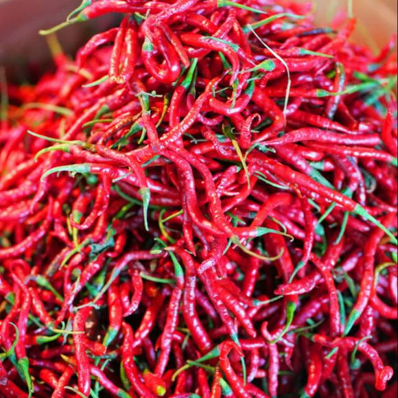 Cabe Pattern Cabe Merah