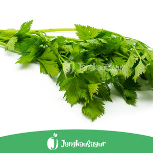 Daun Seledri 500 gr