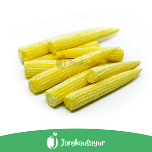 Jagung Baby 500 gr