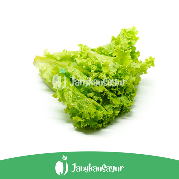 Selada Keriting / Lettuce 500 gr